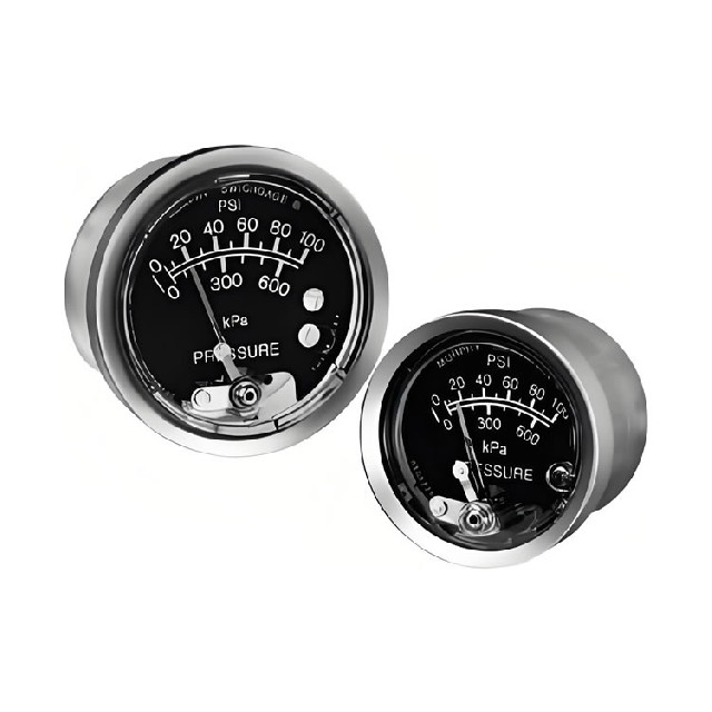 美國murphy 壓力表 A20