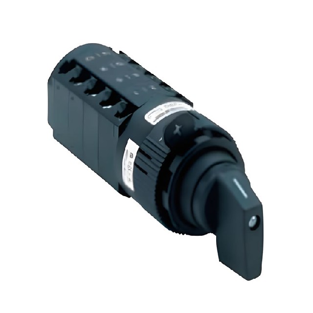 德國Salzer 旋轉凸輪開關 P220-61028-218M1